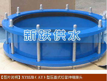 压盖式松套伸缩接头